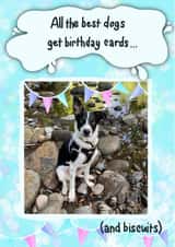 Personalised Photo Card created by Leanne Congdon - Dog Puppy Personalised Photo Card 48433