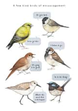 A few kind birds of encouragement created by Dani Williams