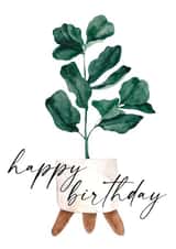 Happy Birthday Fiddle Leaf Fig Card - Plant Birthday Card - Happy Birthday Plant created by Open Space Collective