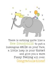 New Grandchild - Congratulations - Grandparents - Grandma - Grandad created by Dandelion Stationery