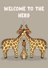 Welcome to the herd, giraffe themed new baby congratulations card created by Lauren Prizeman