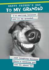 Funny Father's Day card - Grandad - Laughing as there's nothing you can do! created by Quitting Hollywood
