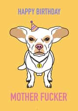 Funny adult humour Birthday card for Chihuahua lovers and owners. created by Wonder illustration