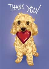 Loving Cockapoo Thank You! Card created by C.F. Allen 