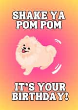 Shake Your Pom Pom - Pomeranian Dog - Cute Birthday Card for Dog Lover created by JZW Studios