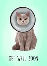 Cute Get well Card - cute cat in cone of shame created by Poppy & Mabel
