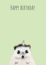 Cute Hedgehog Birthday Card - Adorable Birthday Hedgehog - Happy Birthday Card created by Oliver Stockley