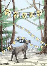 Birthday Deer Card - Woodland Birthday Card - Wildlife Birthday Card created by Oliver Stockley