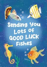 Cute Fishy Good Luck Card created by Holly Bushnell Illustration