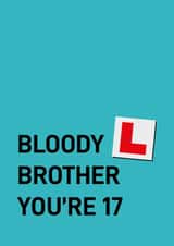 Cheeky Birthday Card - Brother - 17th created by Quinton cards