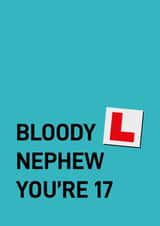 Cheeky Birthday Card - 17th - Nephew created by Quinton cards
