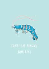 You're the Prawn's Whiskers - Birthday/Anniversary/Thank You/Love & Friendship created by Eleanor Beetle