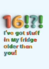 Funny 16th Birthday Card | Fridge created by Pottsy Prints