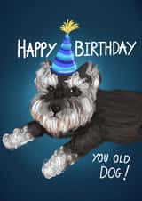Funny Schnauzer Dog Birthday Card-Happy Birthday You Old Dog! created by C.F. Allen 