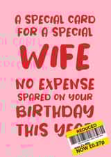 Cheeky Birthday Card for Wife 'No Expense Spared This Year' created by Absolutely Bananas Co.