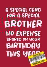 Cheeky Birthday Card for Brother 'No Expense Spared' created by Absolutely Bananas Co.