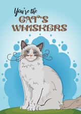 You're The Cats Whiskers created by Toff London