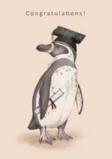 Illustrative Graduation Card - Penguin - Congratulations created by Dani Williams