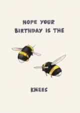 Hand-drawn pencil birthday card - Hope your birthday is the bees knees created by Roisin Cafferty