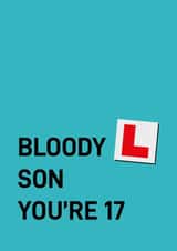 Cheeky Birthday Card - 17th - Son - Learner created by Quinton cards