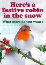 Cute and Cheeky Christmas card - Festive robin in the snow. created by Dean Morris Cards