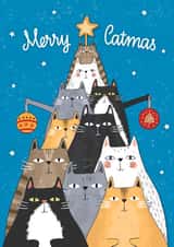 Cute Christmas Card - Catmas created by Evie Garnett Designs
