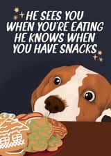 Funny Christmas Card - Dog and Cookies created by Pink + Pip