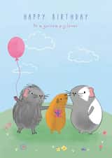 Cute Birthday Card - Guinea Pig Lover created by Little Stringers