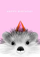 Hedgehog in a party hat created by CVMS