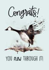 Funny Animal Congratulations card - You FLEW through it! created by The Chick & the Duck