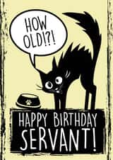 Cattitude - Funny Birthday Card for the Cat lover created by The Purple Spell