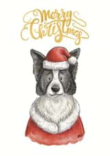 Border Collie Christmas Card - Sheepdog - Merry Christmas created by Kate Tea Illustration
