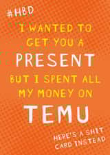 Funny Birthday Card - TEMU created by NICOLA TRAVIS