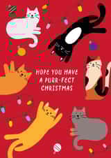 Cute funny Christmas card - Cats - Hope you have a purr-fect Christmas created by Paper Heart Designs