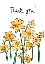 Pretty Thank You Card - Daffodils created by Bellynam Studio