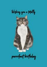 Cute cat birthday card, purrrfect for any cat or animal lover! created by Her Joyful Heart