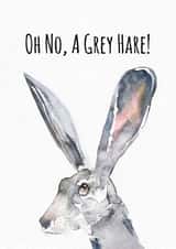 A Grey Hare Birthday Card - Punny Age Joke created by Jo Scott Art
