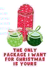 Naughty Christmas Card - Package Pun created by Pink Peach Cards