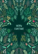 Classic Christmas Card - Festive foliage created by Sofia Papa Designs