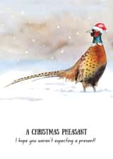 Christmas pheasant card - Funny - Hope you weren't expecting a present! created by Kate Garrett