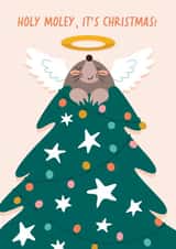 Cute Funny Christmas Card - Holy Moly Pun created by Immy Illustrates