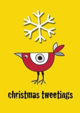 Cute birdie Christmas card for your friends and family created by Sal Roydhouse