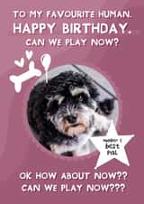 Personalised Birthday Photo Card created by From The Dog - Cute Birthday Photo Card - From the dog - Can we play now?