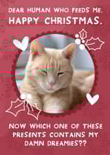 Personalised Christmas Photo Card created by Two For Joy Illustration - Cute Christmas Photo Card - From the cat - Funny Dreamies Cat