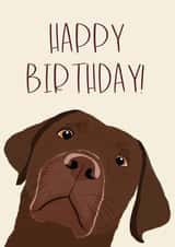 Super cute Birthday dog card - Brown Labrador! created by Jasmin