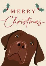 Adorable Brown Labrador Christmas Card - Merry Christmas from the dog created by Jasmin
