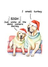 Cute dog couple on Christmas Day - sarcastic family photo created by crackerjack