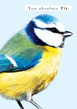 A card for an absolute Tit. created by Hello Munki