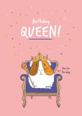 Cute Guinea Pig Birthday Card - Birthday Queen created by Goofy Guineas