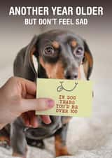 Cheeky Daschund Birthday Card - 100 in Dog Years created by Liverpool Card Studio